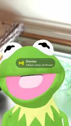 Preview for a Spotlight video that uses the Kermit Lens