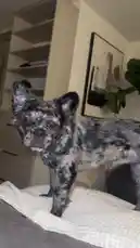 Woahkenzy (@woahkenzy) | Snapchat Stories, Spotlight & Lenses