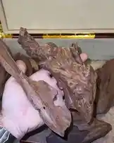 Video by @nawader.aloud44 with original sound