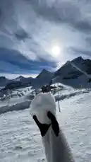 Interlaken🇨🇭 by @moneeragh with original sound