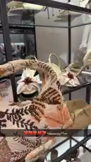 A stylish display of luxury accessories featuring a beige handbag with intricate brown leaf embroidery and matching floral heels. The elegant pieces are showcased on a modern glass shelf within a boutique setting. by @ru.ab71 with Original Sound by ru.ab71