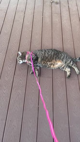 Ally Mayy (@allymayyrose) Snapchat Stories, Spotlight & Lenses