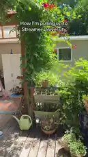 In this vlog-style video, streamer Jeremiah Brown stands on his sunlit wooden deck, surrounded by lush greenery and potted plants. He introduces the topic 'How I'm pulling up to Streamer University' while adjusting his white outfit. As he begins to speak, upbeat pop music starts playing, setting a positive and energetic tone for his narrative about building a career in streaming. by @findjeremiah with Original Sound by findjeremiah