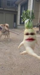 Preview for a Spotlight video that uses the running radish Lens