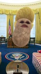 Preview for a Spotlight video that uses the Potato President Lens