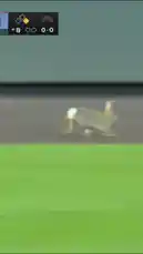 A live-action scene captures a rabbit hopping across the outfield grass during a baseball game at Oracle Park. The small animal makes its way towards the right field wall before disappearing into a gap near the base of the wall, much to the surprise of the crowd. by @sfgiants with Original Sound by sfgiants