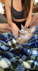 Preview for a Spotlight video that uses the SLEEPY CAT FILTER Lens