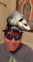 Preview for a Spotlight video that uses the Opossum on Head Lens