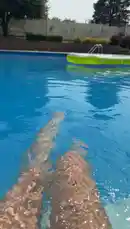 Willow :) (@willow.jc) | Snapchat Stories, Spotlight & Lenses