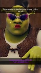 Preview for a Spotlight video that uses the Sexy Shrek Lens