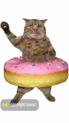 Preview for a Spotlight video that uses the Donut Cat Lens