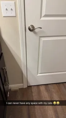 𝑨𝒖𝒕𝒖𝒎𝒏 𝑯𝒊𝒄𝒌𝒔💗🍃 (@a_hicks3474) | Snapchat Stories, Spotlight & Lenses