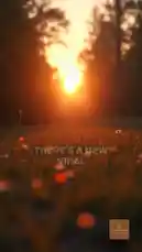 Don't ask the AI. by @themindknowfear with original sound