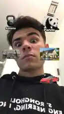 In this viral-style social media post, Barry showcases his dream life with a series of iconic images. He poses with a kettlebell labeled 'Athlete,' a panda for 'Panda,' stacks of cash for wealth, a luxurious mansion for 'Mansion,' and a red Ferrari for 'Supercar.' This aspirational collage captures a moment of ultimate success and fantasy, perfectly tailored to engage audiences searching for inspirational or lifestyle content. by @futureflash351 with original sound