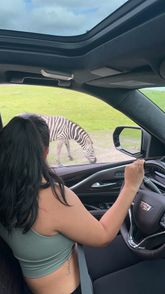 Rayssa Corujo (@therealrxc) | Snapchat Stories, Spotlight & Lenses