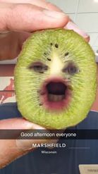 Preview for a Spotlight video that uses the kiwi face Lens