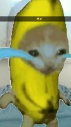 Preview for a Spotlight video that uses the Crying banana cat Lens