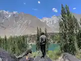 Video by @raptor9431 with original sound