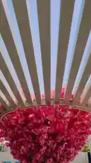 Video by @reefdevelopment with original sound