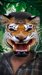 Preview for a Spotlight video that uses the TIGER GROWL Lens