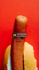 Preview for a Spotlight video that uses the Hotdog face Lens