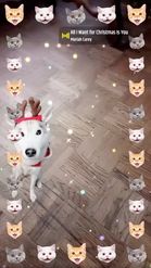 Preview for a Spotlight video that uses the Christmas dog Lens