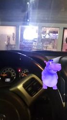 Preview for a Spotlight video that uses the Harry the Hippo Lens