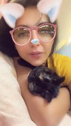 Preview for a Spotlight video that uses the Puppy with Glasses Lens
