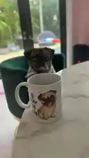 Amanda Nicole (@d_amandanicole) | Snapchat Stories, Spotlight & Lenses