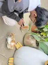 Video by @t4ru_ru with original sound