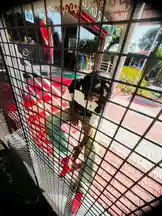Video by @lil.ishhhh with original sound