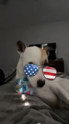 Preview for a Spotlight video that uses the Shades Of USA Lens