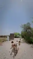 Eid Mubarak by @qatar with original sound