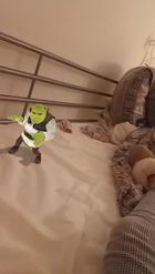 Preview for a Spotlight video that uses the Funny Shrek Twerk Lens