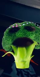Preview for a Spotlight video that uses the Festive Broccoli Lens