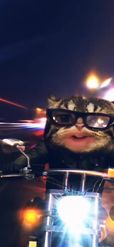 Preview for a Spotlight video that uses the Biker Cat Lens
