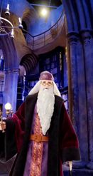 Preview for a Spotlight video that uses the Albus Dumbledore Lens