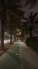 Video by @r011.z with original sound
