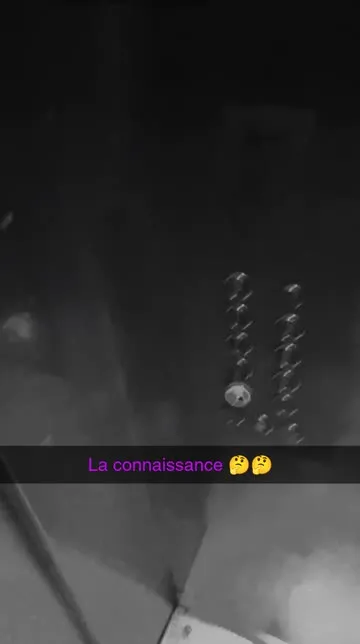 noir et blanc Lens by nik Snapchat Lenses and Filters