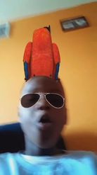 Preview for a Spotlight video that uses the Parrot On Head Lens