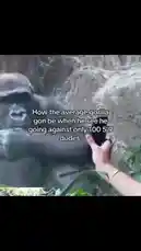 #fyp #viral #funny #meme #comedy #prank #monkey by @rizznmemes with Original Sound by rizznmemes