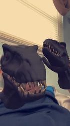 Preview for a Spotlight video that uses the RAPTOR-HANDS-HEAD Lens