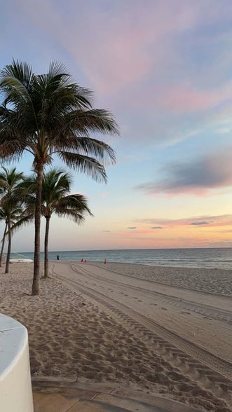 Pardiss Carello (@pardisscarello) Snapchat Stories, Spotlight & Lenses