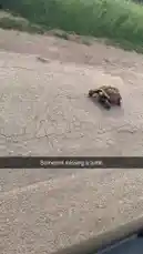 Video by @krystalleann32 with original sound