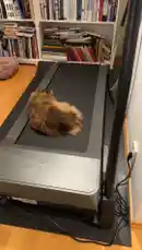 Video by @monajohanneh with original sound