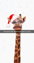 Preview for a Spotlight video that uses the Christmas Giraffe Lens