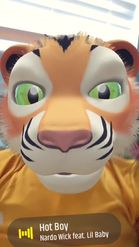 Preview for a Spotlight video that uses the Tiger Simulator Lens