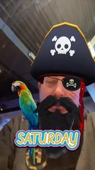 Preview for a Spotlight video that uses the Pirate With Parrot Lens