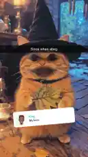 Video by @eliza_webb25 with original sound