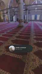 Preview for a Spotlight video that uses the Inside Mosque Lens Lens